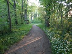 Rundweg um den Schlossteich