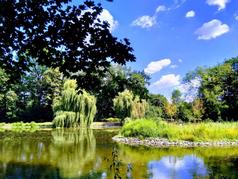 Schlossteich mit Insel