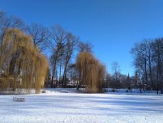 Schlossteich im Winter